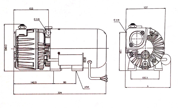 Dimensions of the EV-0008 pump